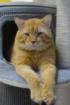 Chuck photo 1