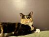 Zazel photo 2