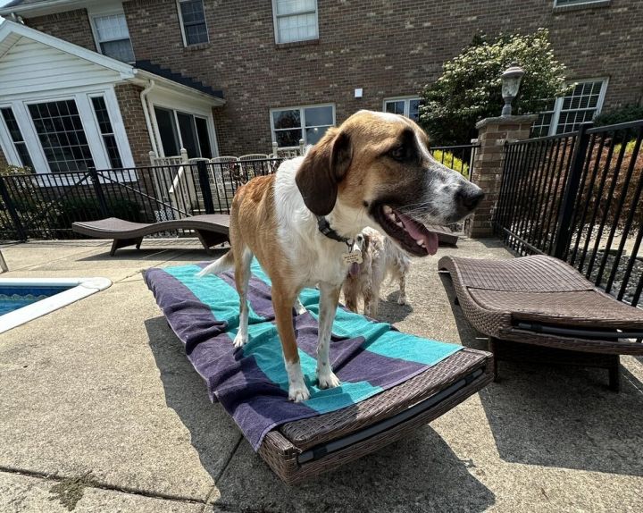 Available - Axel 1