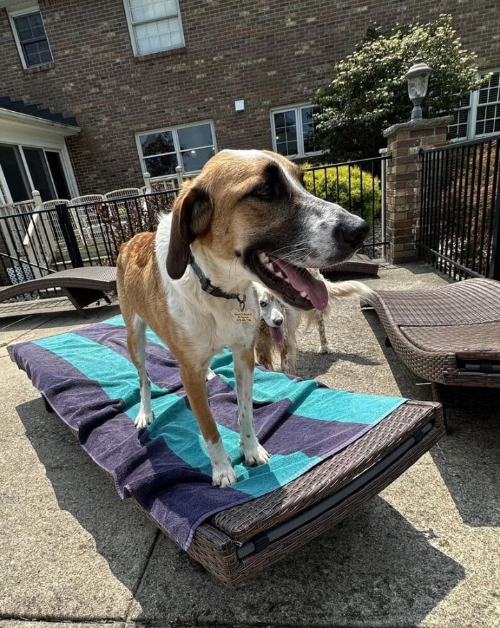 Available - Axel 3