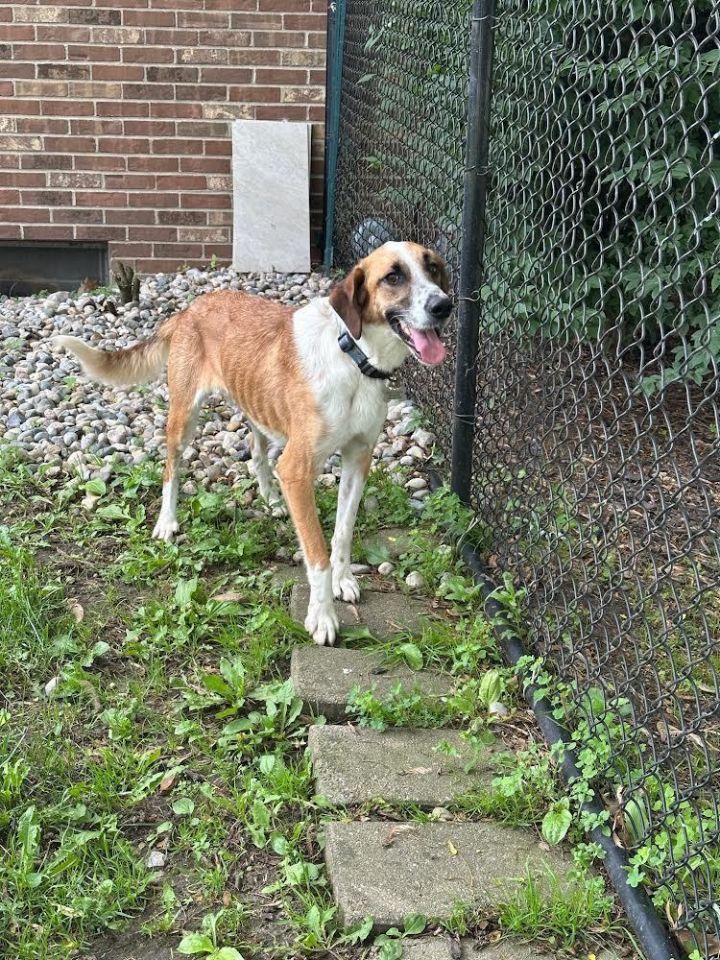 Available - Axel 4
