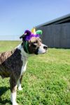 Sunnie photo 3