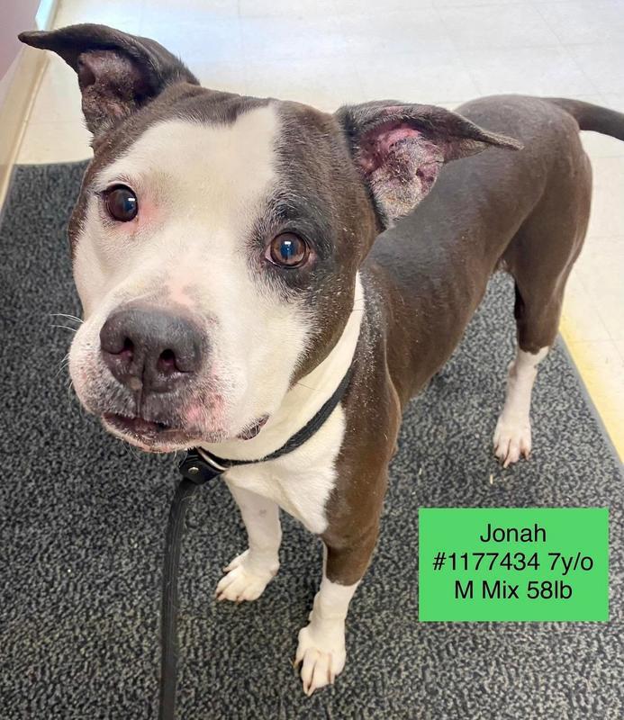 Jonah