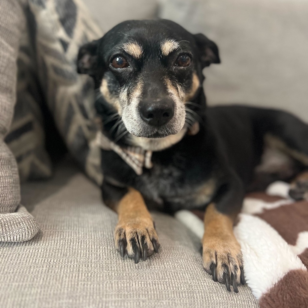 Rudy