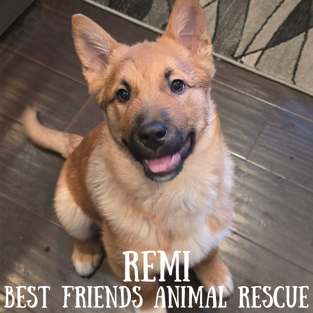 Remi