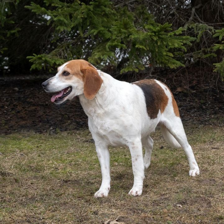 Roxy 5
