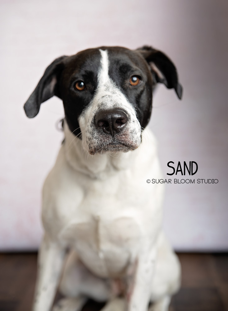 Sand