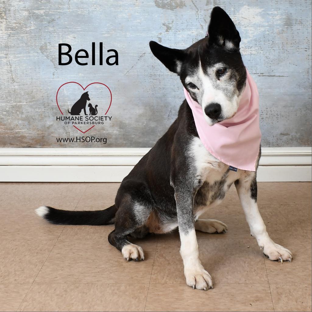 Bella