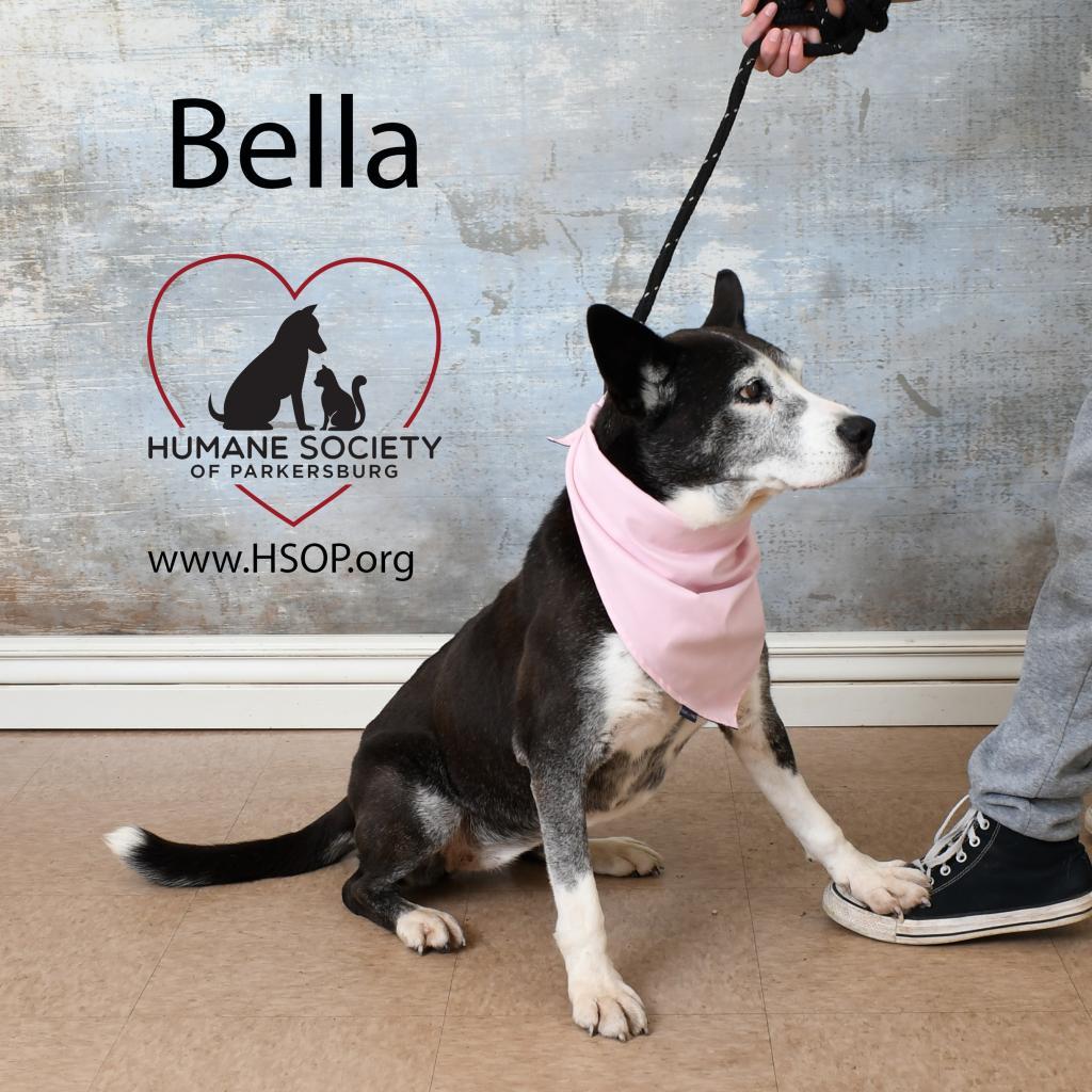 Bella
