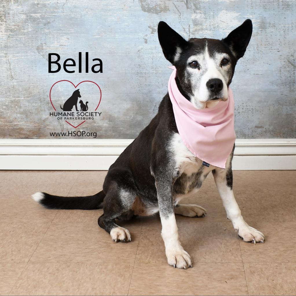 Bella