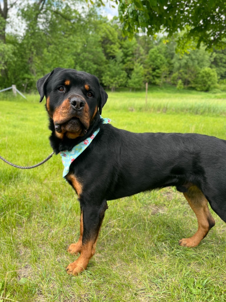 Butterball