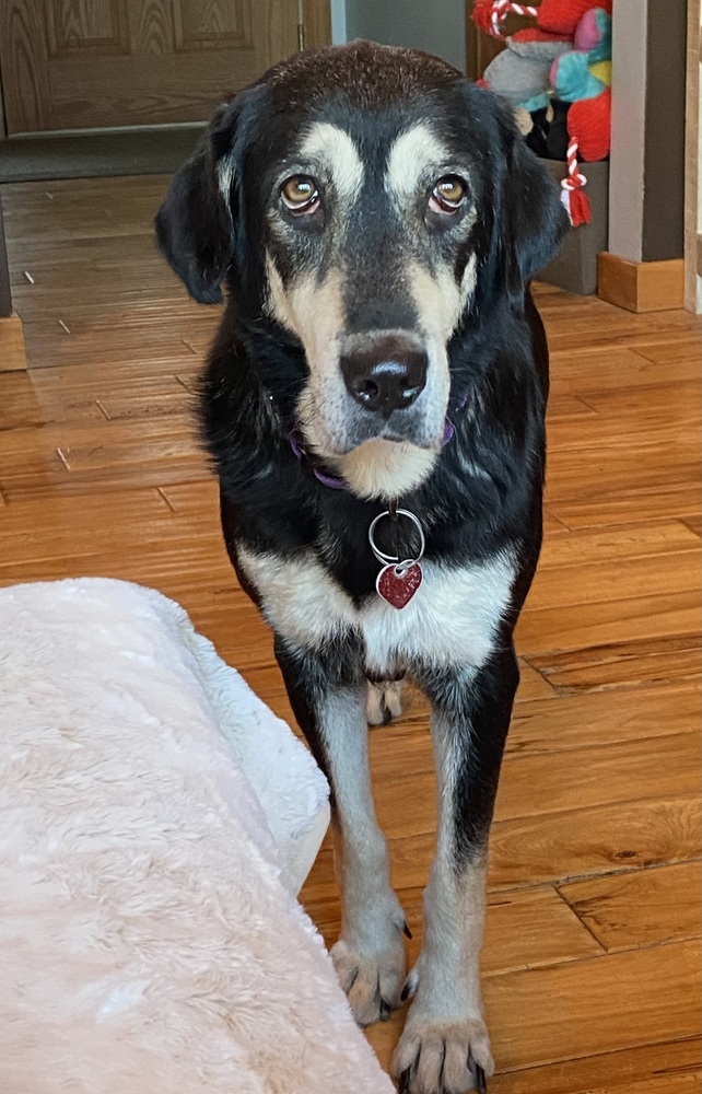 Maggie