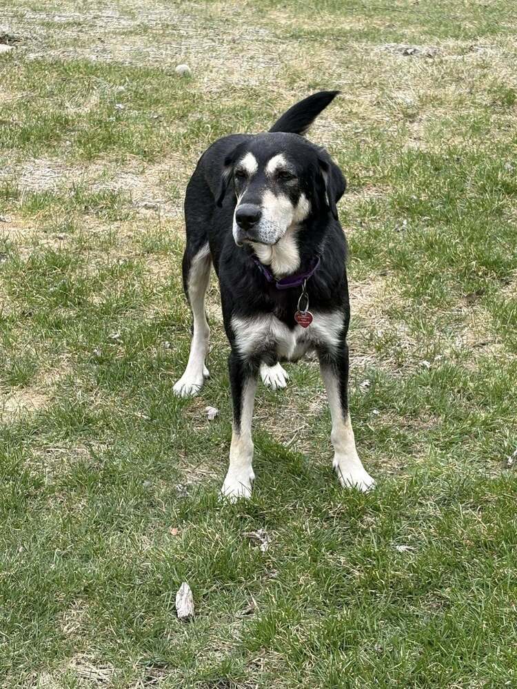 Maggie