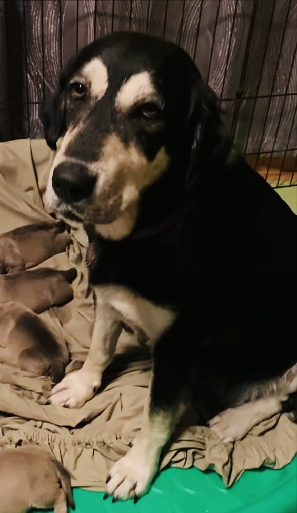 Maggie