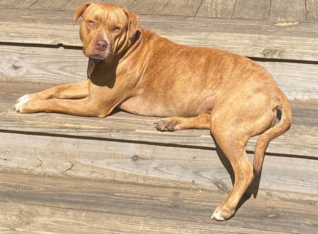 Gina