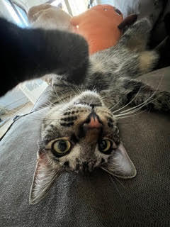 Bootsy 1