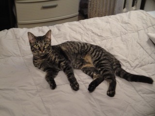 Bootsy 2