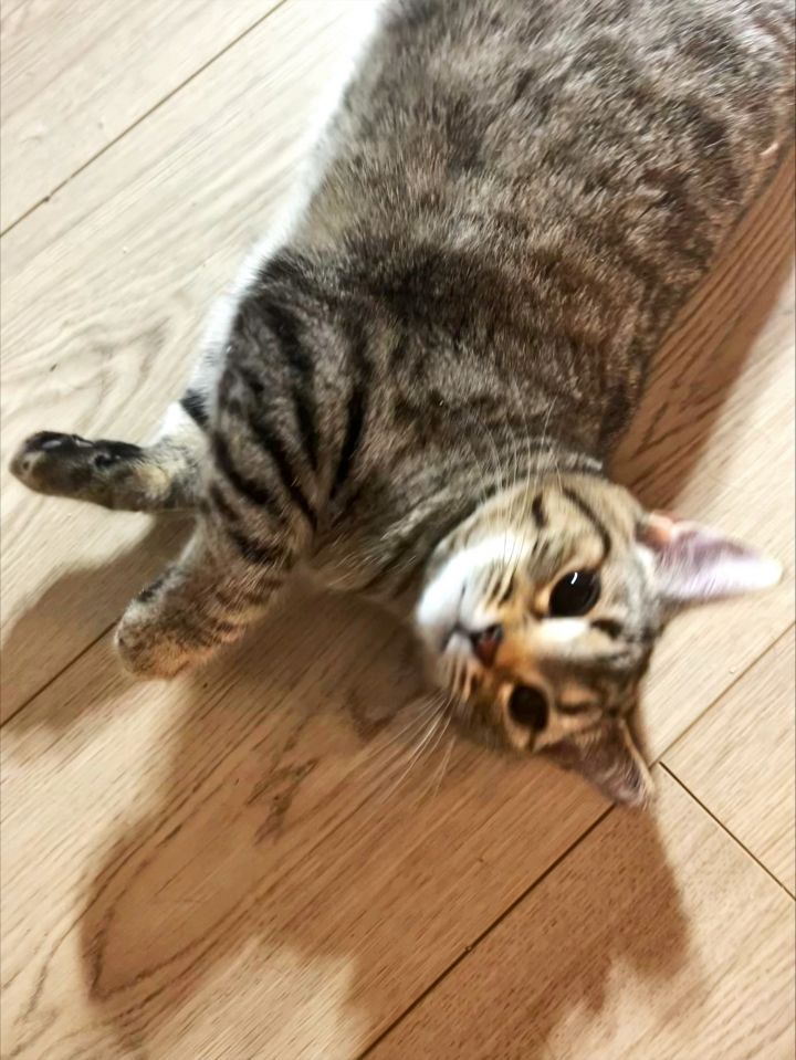 Stella K. 2
