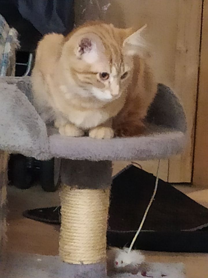 Chloe 2