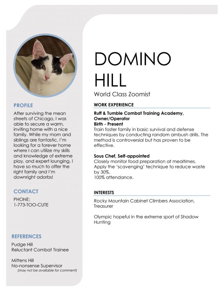 Domino 4