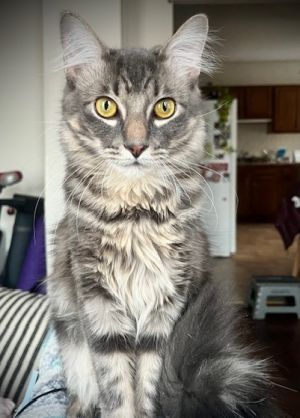 Tuffy
