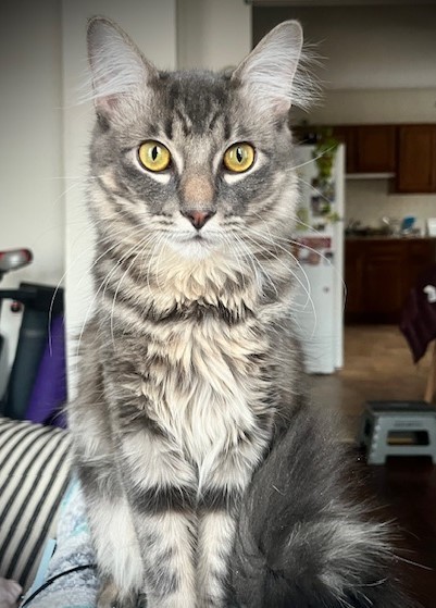 Tuffy 1