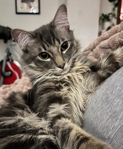 Tuffy 2