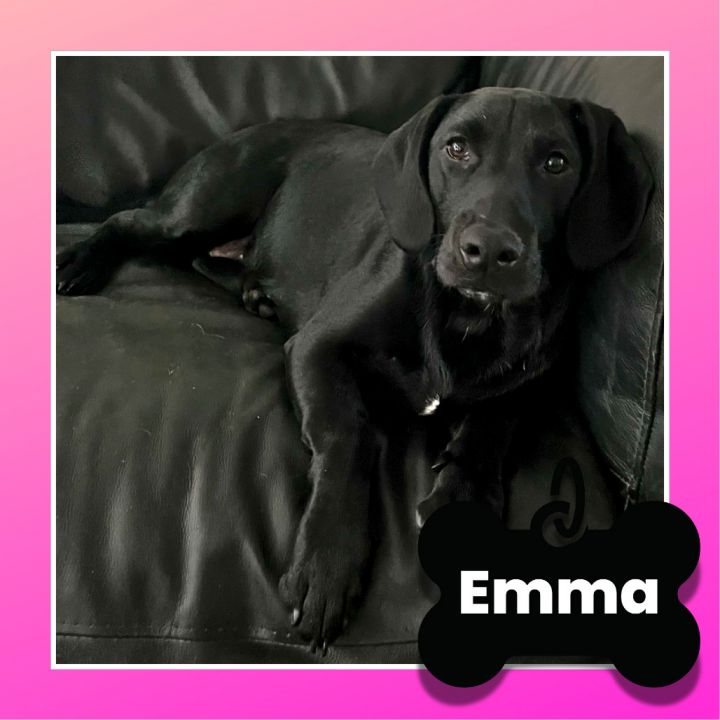 Emma 1