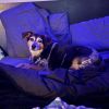 Lulu photo 3