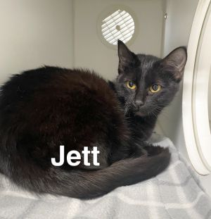 Jett