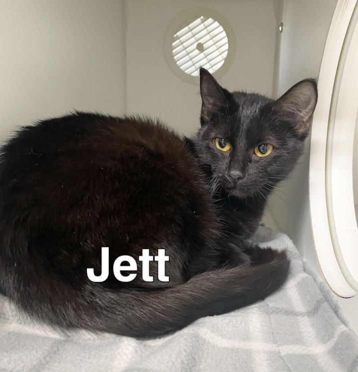 Jett 1