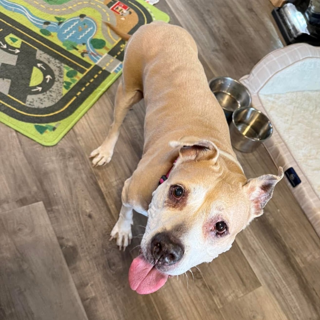 Winnie