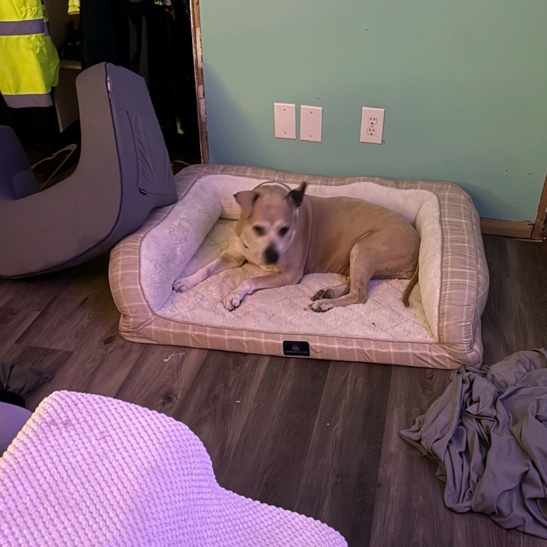 Winnie
