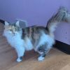Winifred photo 1