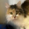 Winifred photo 2