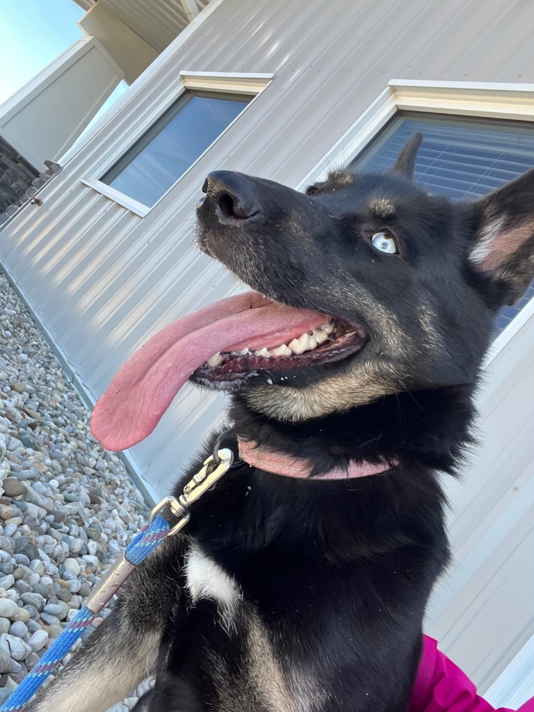 Nyx AKA Miss Drama Queen
