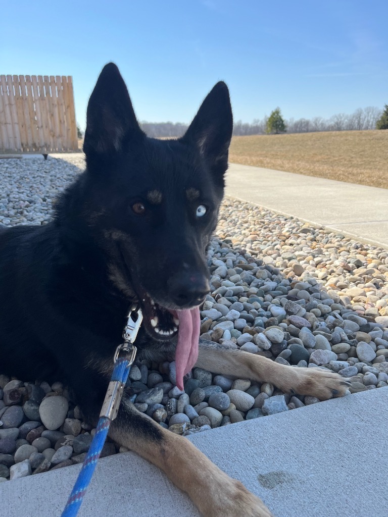 Nyx