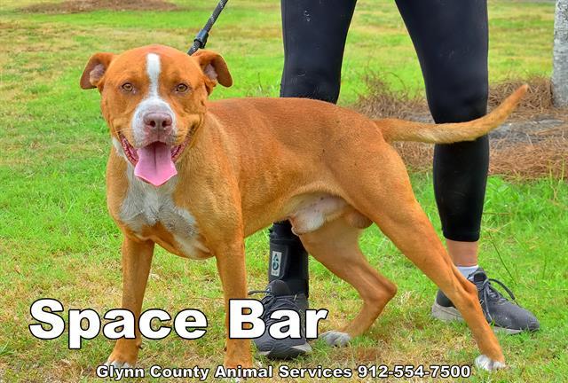 SPACE BAR