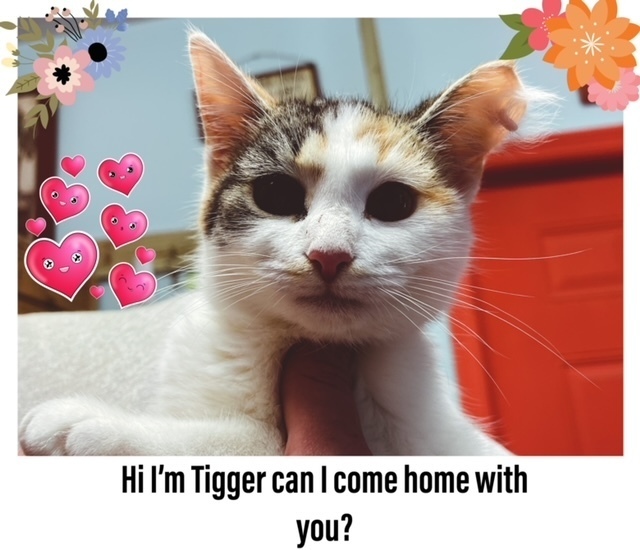 Tigger