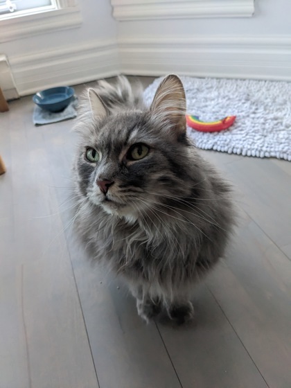 Prince