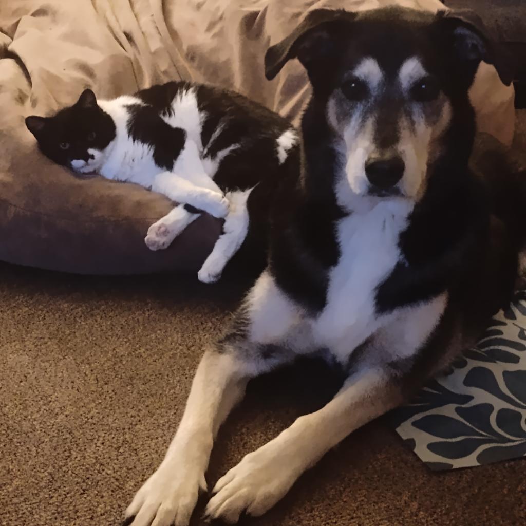 Sweetie-Foster