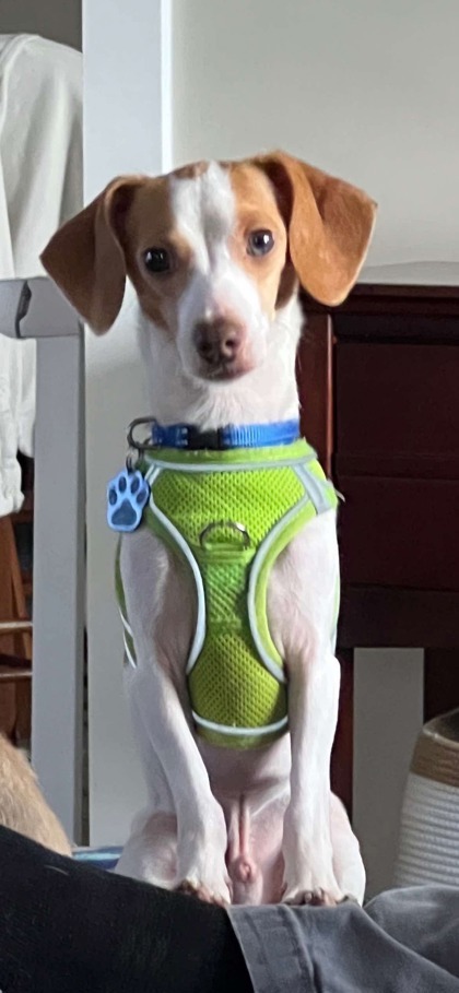 Jerry