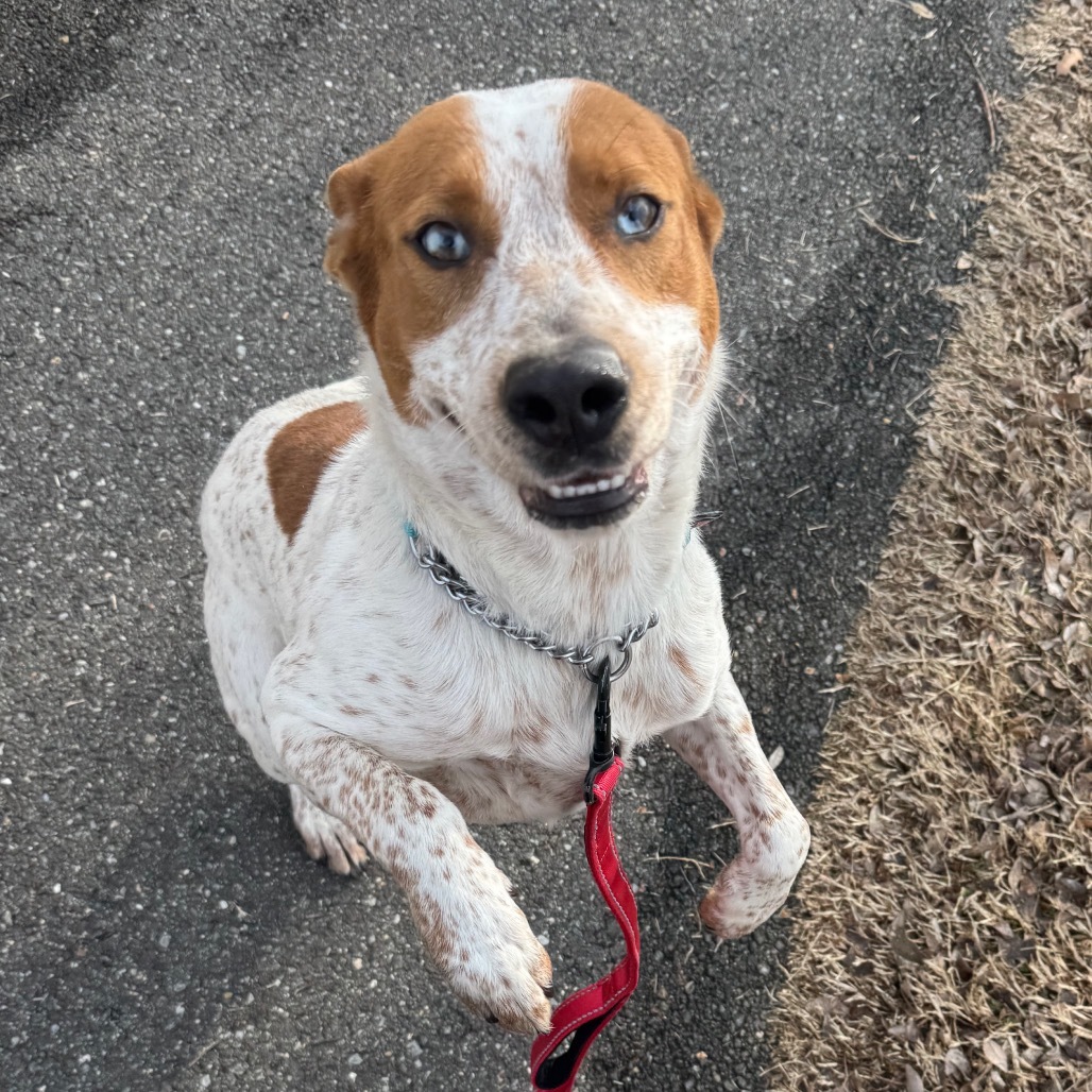 Reba