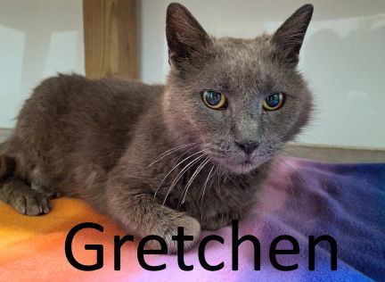 Gretchen