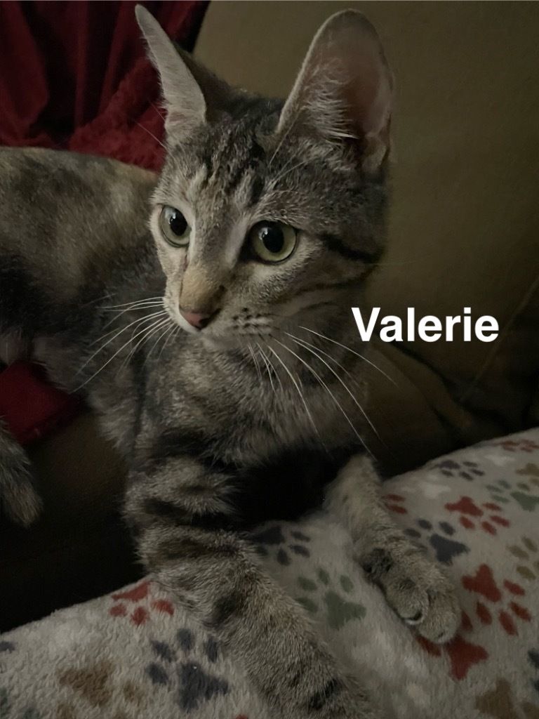 Valerie