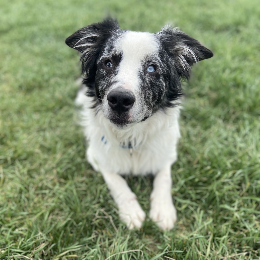 Jax