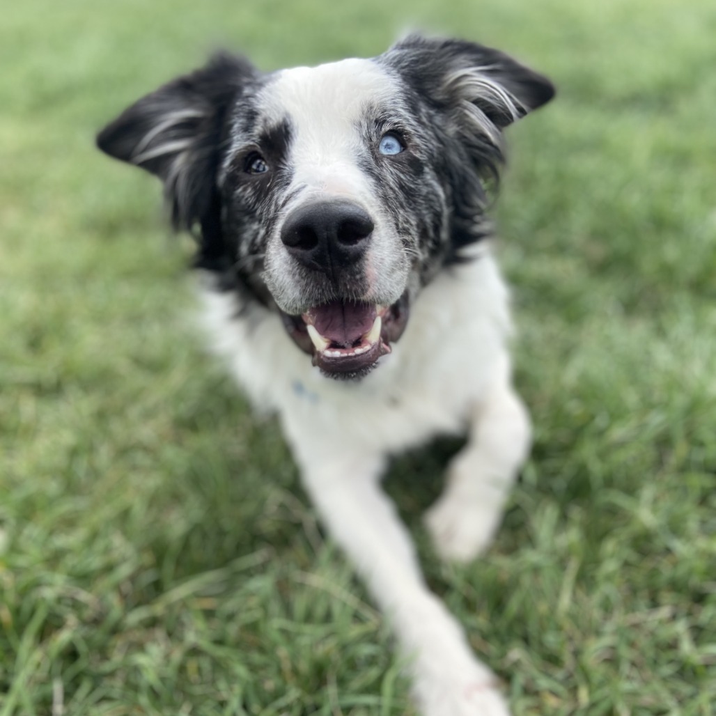 Jax