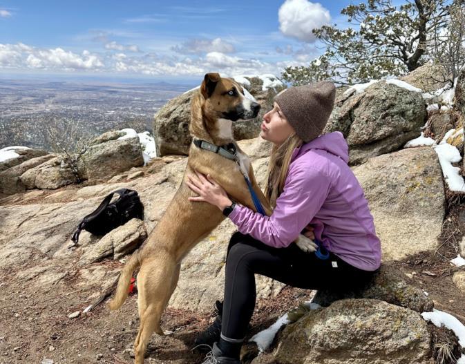 TRIXIE, an adoptable Mixed Breed in Santa Fe, NM, 87507 | Photo Image 1