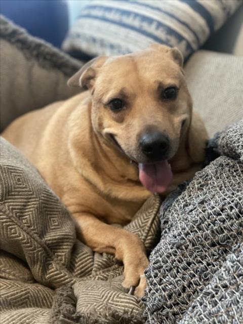 PENNY 1
