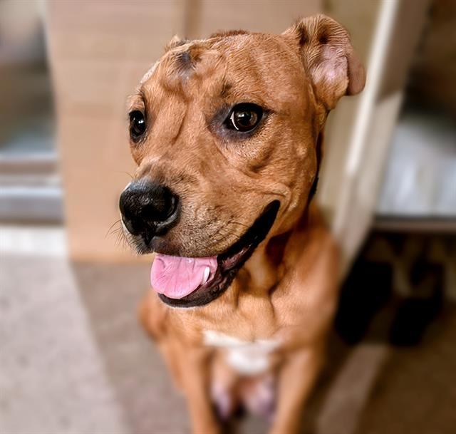 NALA* 1